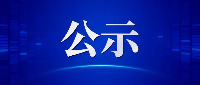 关于合肥粤港置业投资有限公司、绿地集团荆州绿地之窗置业有限公司、武汉申智成置业有限公司终本执行案件委外代理项目直接采购的公示